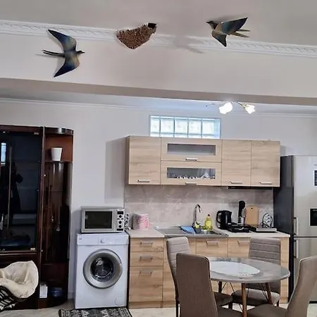 τα χελιδόνια- The Swallows * Néa Mihanióna