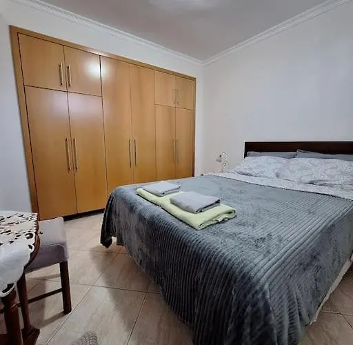 公寓 τα χελιδόνια- The Swallows 尼亚米卡尼奥纳