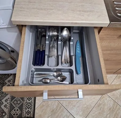 公寓 τα χελιδόνια- The Swallows 尼亚米卡尼奥纳