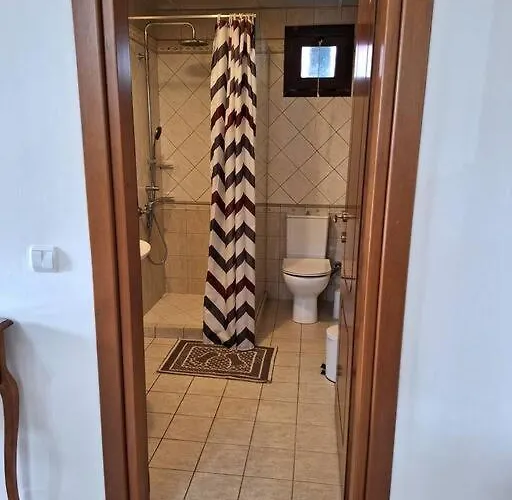 公寓 τα χελιδόνια- The Swallows 尼亚米卡尼奥纳