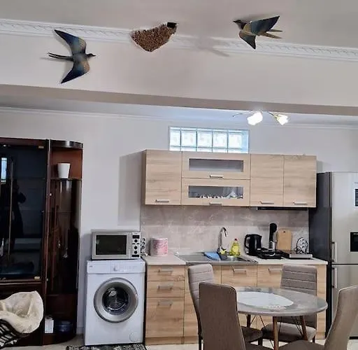 τα χελιδόνια- The Swallows * 尼亚米卡尼奥纳